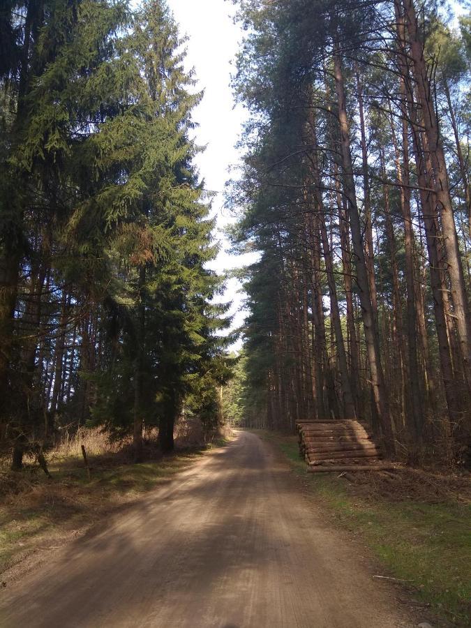 W Starej Szkole - Agroturystyka Pieczarki Luaran gambar