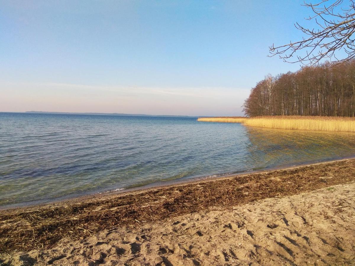 W Starej Szkole - Agroturystyka Pieczarki Luaran gambar