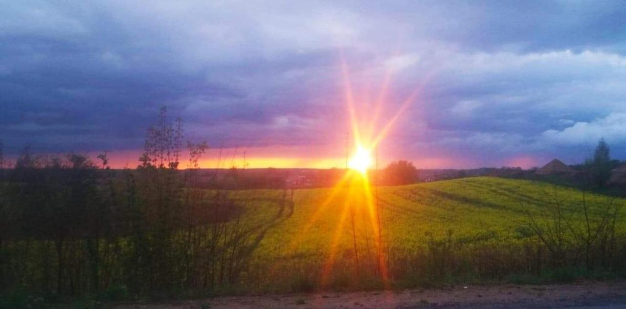 W Starej Szkole - Agroturystyka Pieczarki Luaran gambar