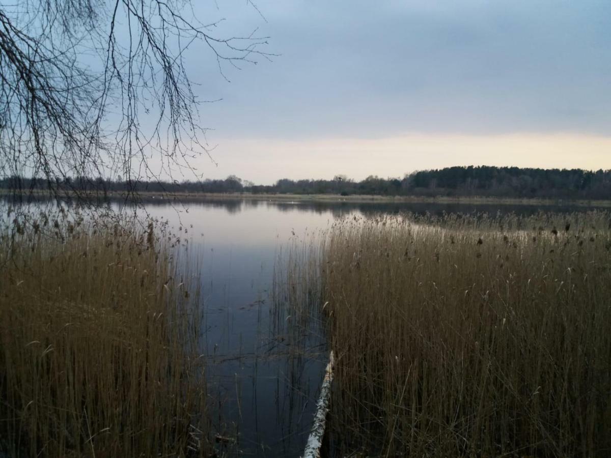 W Starej Szkole - Agroturystyka Pieczarki Luaran gambar