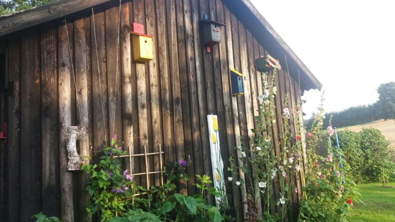 W Starej Szkole - Agroturystyka Pieczarki Luaran gambar