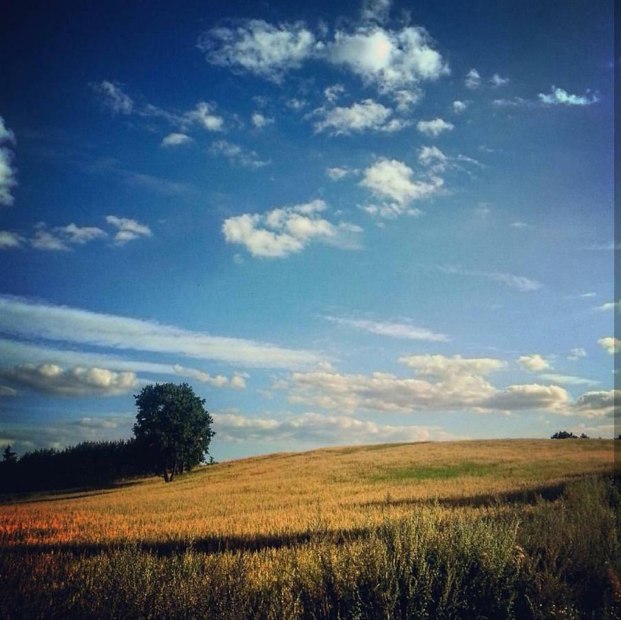 W Starej Szkole - Agroturystyka Pieczarki Luaran gambar