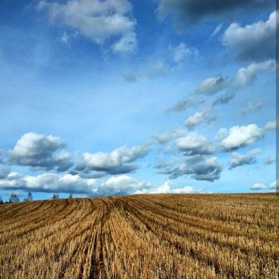 W Starej Szkole - Agroturystyka Pieczarki Luaran gambar